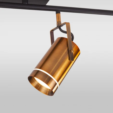 Спот Eurosvet Bronze 20063/6 LED