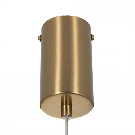 Подвесной светильник Citilux Fernet CL254010