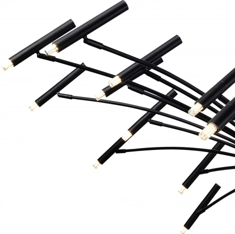 Потолочная люстра на штанге ST Luce Spidey SL1214.402.24