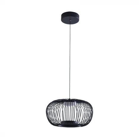 Подвесной светильник Arte Lamp Flare A3527SP-12BK (LED, 220V, на проводе)