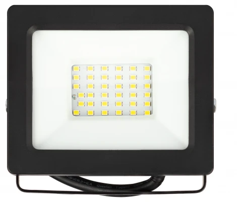 Прожектор уличный светодиодный с датчиком освещенности ЭРА LPR-04 LPR-042-3-65K-030