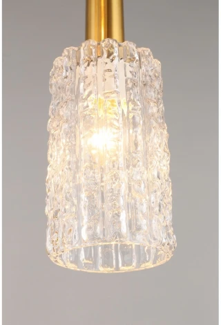 Подвесной светильник Aployt Henrite APL.310.03.05 (220V, на проводе)