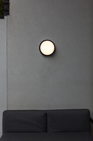 Потолочный светильник уличный светодиодный Oasis Light SIDNEY LED W2058 Bl (220V, круглые, IP44)