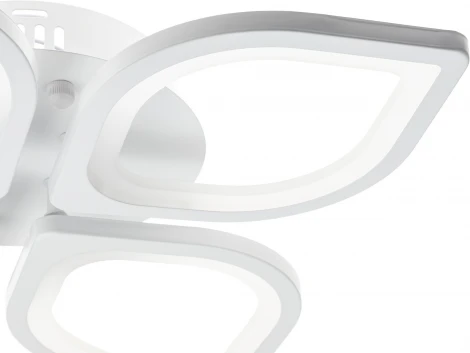 Потолочная люстра светодиодная с ДУ Ritter Veroli 52030 6