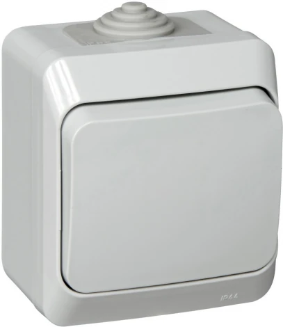 Выключатель накладной одноклавишный (серый) IP44 Systeme Electric BA10-041C