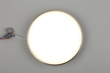 Потолочный светильник круглый Aployt Evon APL.0114.29.24 (LED, 220V, круглые)