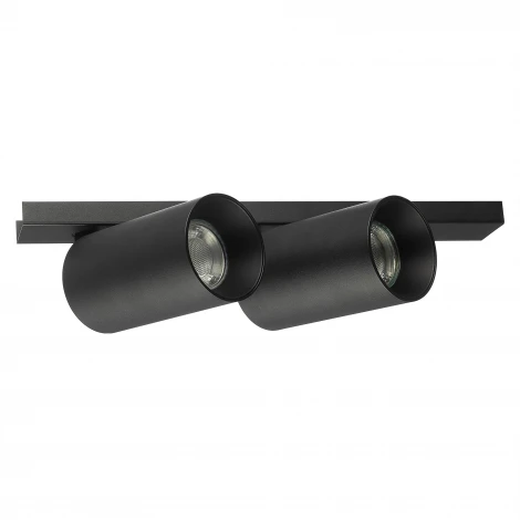Настенно-потолочный спот Citilux Axel CL512521 Черный