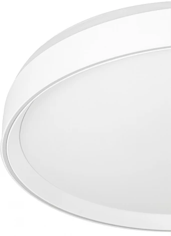 Потолочный светильник RGB круглый Citilux Boss CL751450G (LED, 220V, круглые)