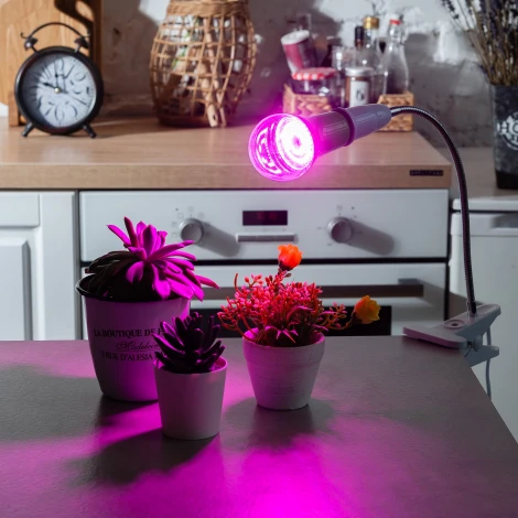 Лампочка светодиодная E27 15W шар розовая Uniel LED-A60-15W/SPSB/E27/CL PLP30GR