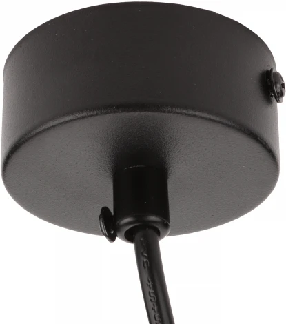 Подвесной светильник Ritter Arton 59987 6