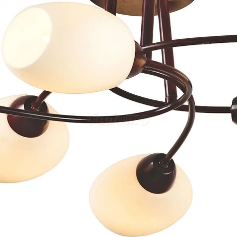 Потолочная люстра Toscom Grums TC-300-506W