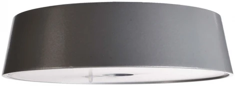 Интерьерная настольная лампа Deko-Light Miram 620099