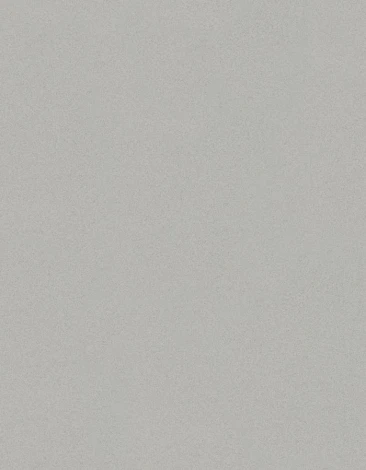 Обои виниловые Marburg New Spirit 32725 10,05 x 0,53 м