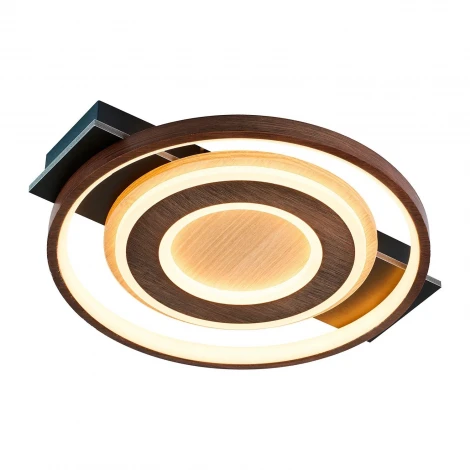 Потолочный светильник светодиодный F-Promo Labrea 4699-1C