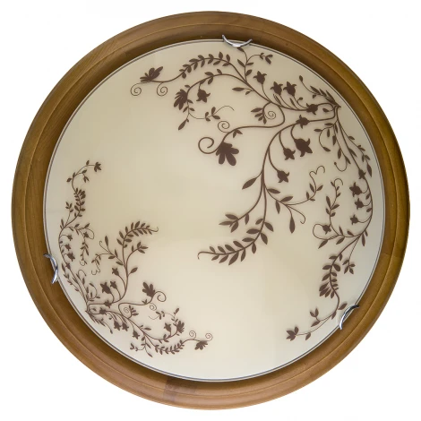 Настенно-потолочный светильник Toplight Irene TL9630Y-00OA (LED, 220V, дуб)