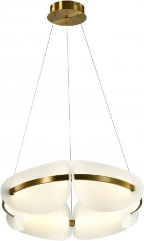 Подвесной светильник LED Zortes Mon ZRS.1210.60 (220V, на тросе, круглые)