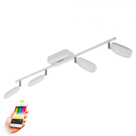 Спот Eglo Palombare-C 97694