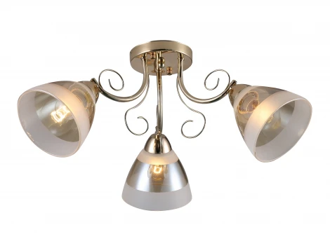 Потолочная люстра Ritter Modena 52545 5