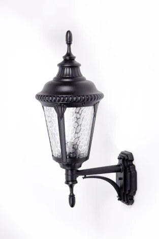 Настенный фонарь уличный Oasis Light 79751S Bl (220V, IP44)