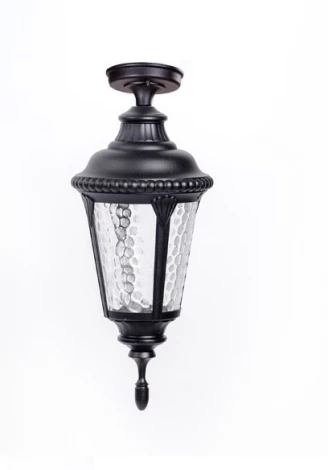 Потолочный светильник уличный Oasis Light MUNICH 2S 79755SA Bl (220V, фонарь, IP44)