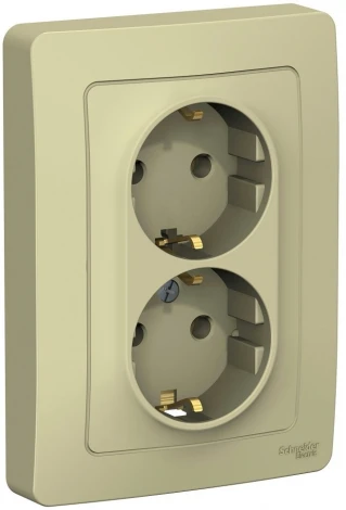 Розетка встраиваемая двойная с заземлением (бежевый) Systeme Electric Blanca BLNRS001027