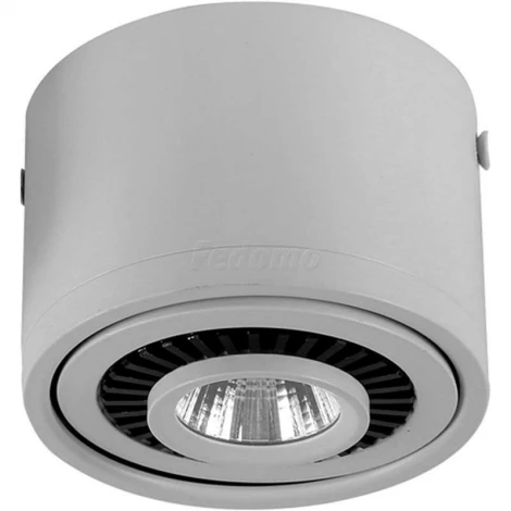 Накладной точечный светильник Favourite Reflector 1775-1C