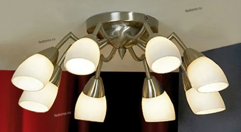Потолочная люстра Lussole Fiora LSQ-8293-08