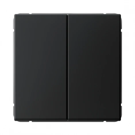 Переключатель двухклавишный (карбон) Systeme Electric GAL001065