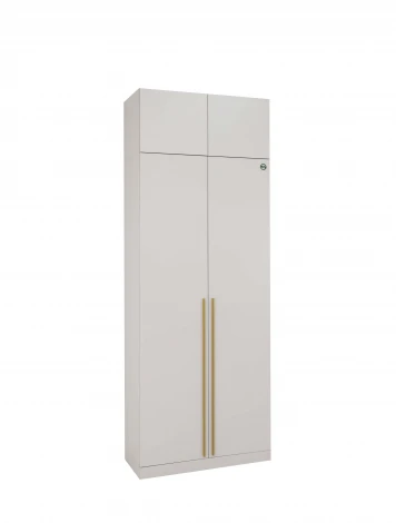 Шкаф Николь-2, Кашемир/Сатиновое золото Ивару 102010