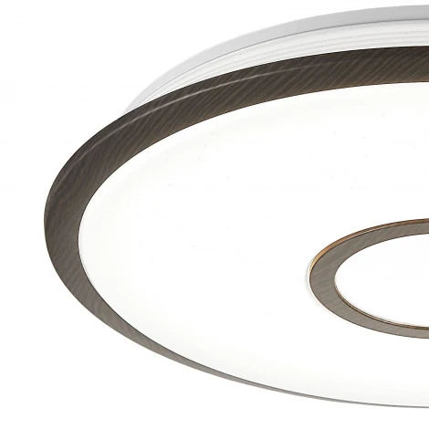 Потолочный светильник Citilux Старлайт R CL70345R