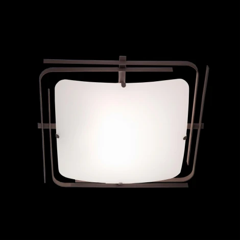 Настенно-потолочный светильник Citilux Спутник CL939201