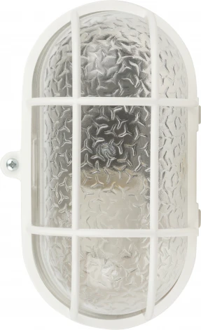 Настенно-потолочный светильник ЭРА НБП 01-60-002 (220V, IP53)