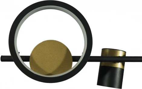 Подвесной светильник Loft IT Saturn 10094/1200 (LED, 220V, на тросе, кольцо)