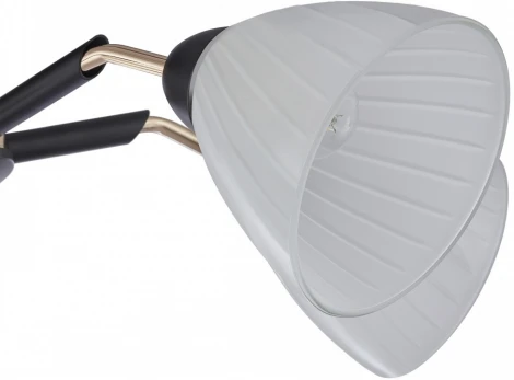 Потолочная люстра на штанге Arte Milano Napoli 324108/5 BK+FG (220V)