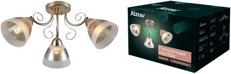 Потолочная люстра Ritter Modena 52545 5