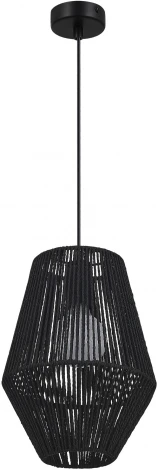 Подвесной светильник Evoluce Ettan SLE6025-413-01 черный/черный E27 1*40W (220V, на проводе, круглые)