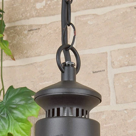 Уличный светильник подвесной Elektrostandard Talli черный GL 3002H (220V, на цепи, IP44)