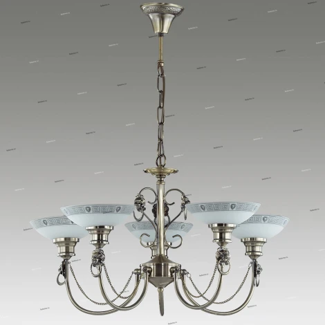 Подвесная люстра Odeon Light Rene 3213/5