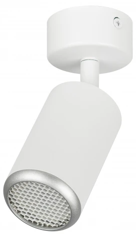 Спот ЭРА OL55 WH/SL OL55 WH/SL