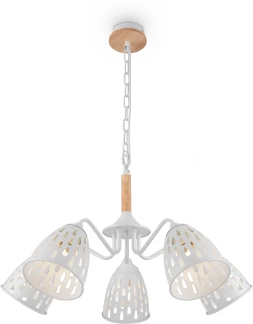 Подвесная люстра Freya Nendo FR5138PL-05W