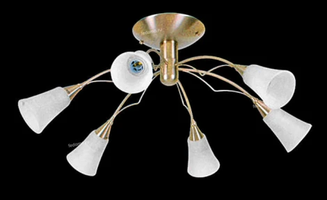 Ozcan Пальма 1555-6