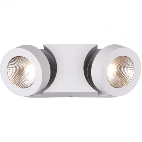 Спот Odeon Light Laconis 3538/2LC