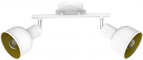 Спот на штанге Esmeree 7056-702 2 х Е14 40 Вт поворотный