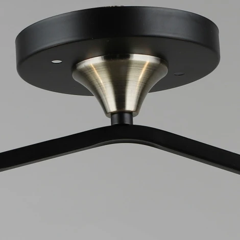 Потолочная люстра на штанге Reluce 01700-0.3-02 (220V)