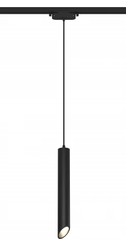 Трековый светильник однофазный 220V Ritter Artline 59707 4