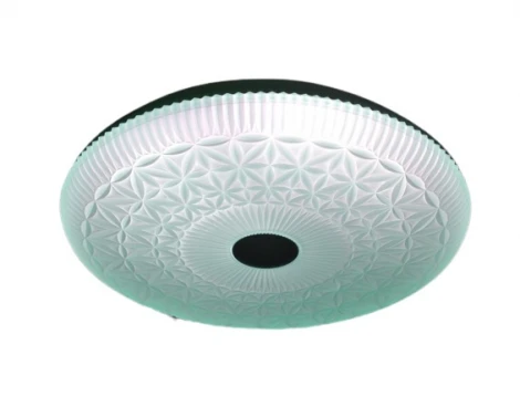 Настенно-потолочный светильник Мелодия Света CW1L 000022034