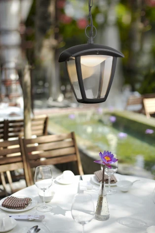 Уличный светильник подвесной Globo Delio 31829