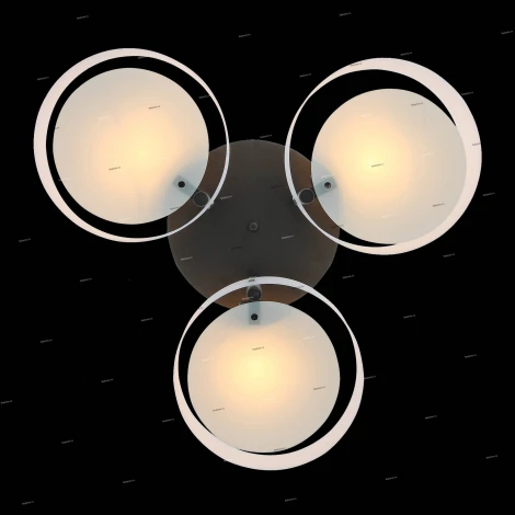 Потолочная люстра ST Luce Foresta SL483.402.03