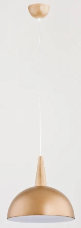 Подвесной светильник Alfa Anja 9649