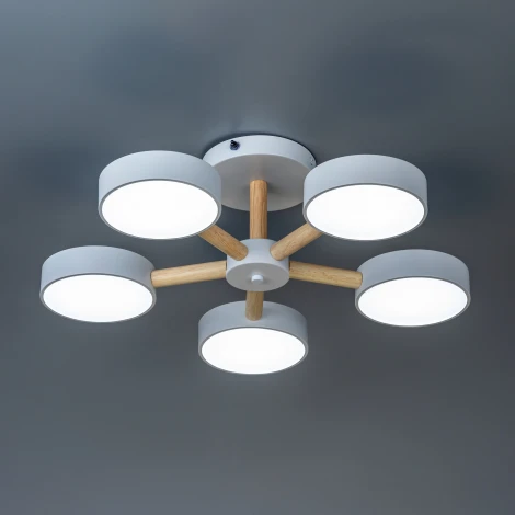 Потолочная люстра светодиодная на штанге с ДУ Ritter Scandia 51591 7